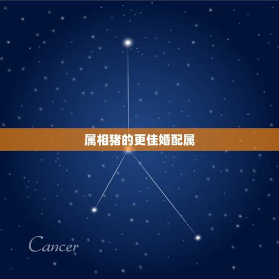 属相猪的更佳婚配属,属猪的上等婚配属相 属相猪的更佳婚配属,属猪的上等婚配属相