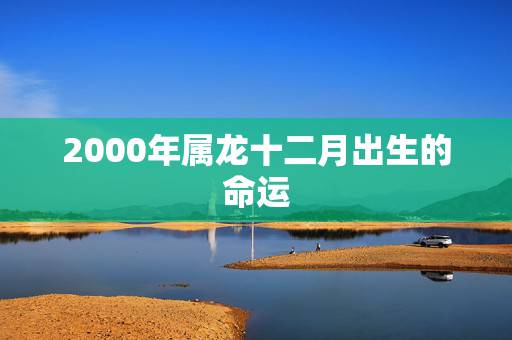2000年属龙十二月出生的命运,2000龙男跟2000龙女合不合 2000年属龙十二月出生的命运,2000龙男跟2000龙女合不合