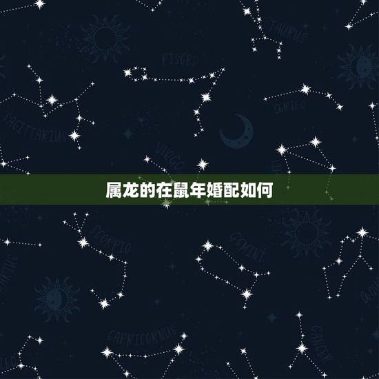属龙的在鼠年婚配如何，属鼠与属龙的结婚好吗？