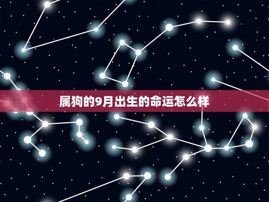 属狗的9月出生的命运怎么样,属狗人生于九月 属狗的9月出生的命运怎么样,属狗人生于九月