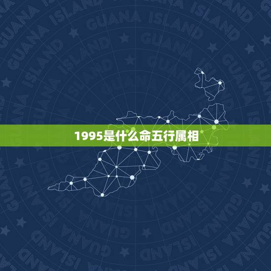 1995是什么命五行属相，1995年属猪是什么命