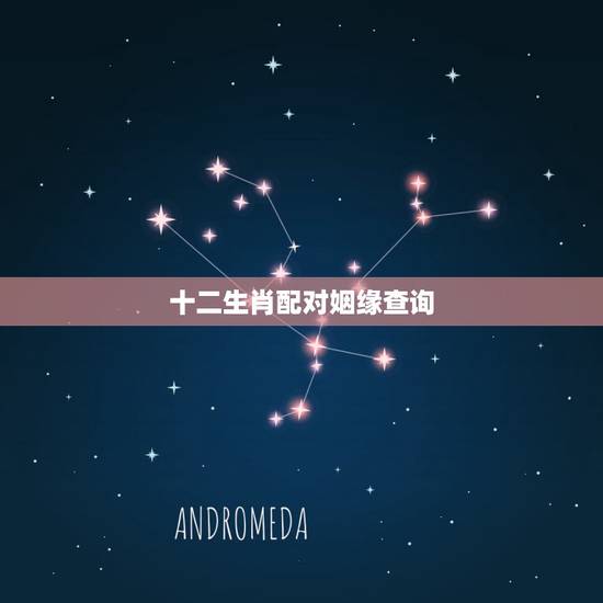 十二生肖配对姻缘查询，十二生肖更佳姻缘配对