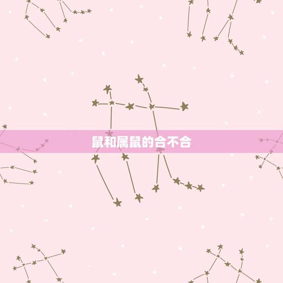 鼠和属鼠的合不合,生肖鼠和生肖鼠合不合 鼠和属鼠的合不合,生肖鼠和生肖鼠合不合