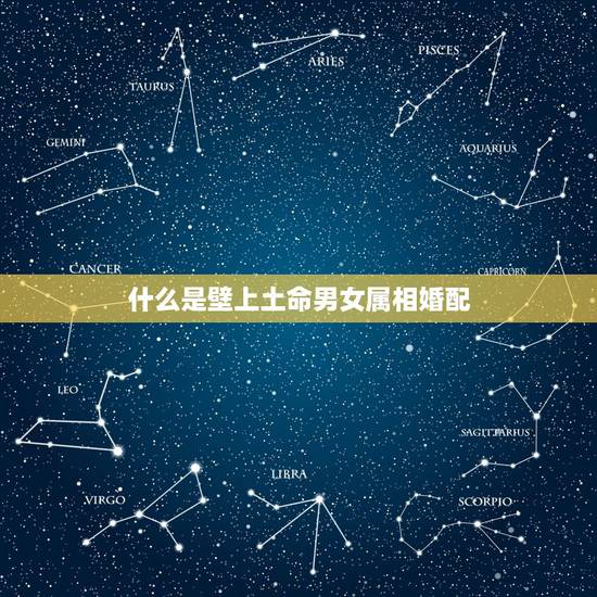 什么是壁上土命男女属相婚配，壁上土命是什么意思