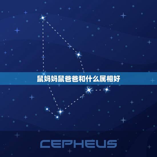 鼠妈妈鼠爸爸和什么属相好，爸爸属猪和妈妈属鼠 孩子什么属相