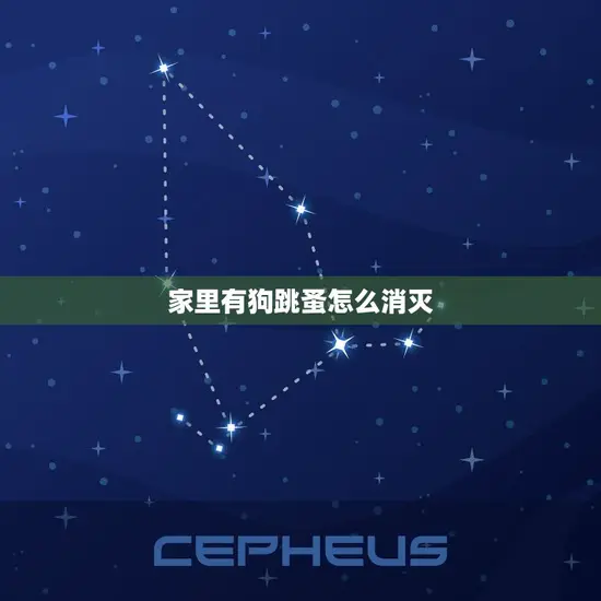 家里有狗跳蚤怎么消灭