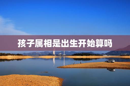 孩子属相是出生开始算吗，请问孩子的生肖到底是按阳历算还是农历算？