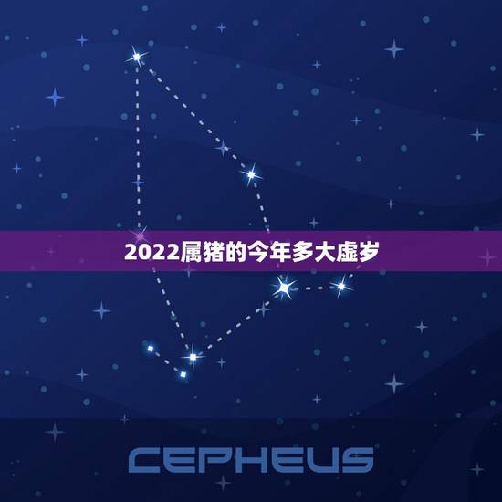 2022属猪的今年多大虚岁,2022年生肖猪运势完整版 2022属猪的今年多大虚岁,2022年生肖猪运势完整版