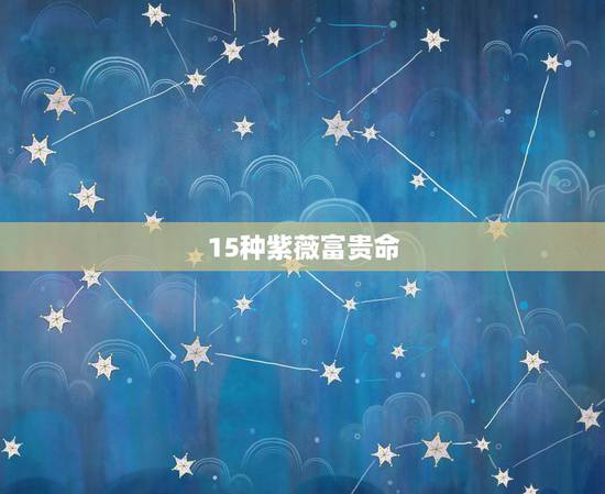 15种紫薇富贵命,这个紫薇命盘富贵怎样?命运怎样?望高人指教 15种紫薇富贵命,这个紫薇命盘富贵怎样?命运怎样?望高人指教