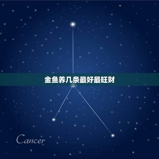 金鱼养几条最好最旺财,为什么养鱼要养单数? 金鱼养几条最好最旺财,为什么养鱼要养单数?