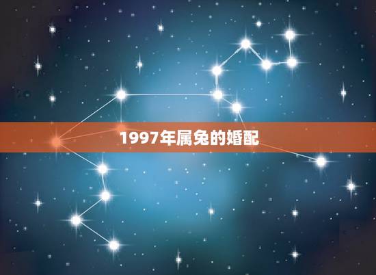 1997年属兔的婚配，属兔人婚配最宜生肖