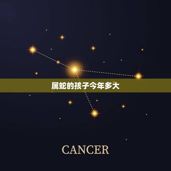 属蛇的孩子今年多大,蛇的一岁是人的多少岁 属蛇的孩子今年多大,蛇的一岁是人的多少岁