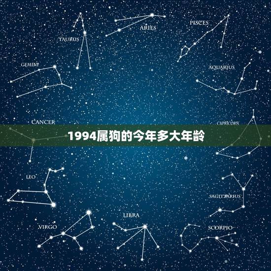 1994属狗的今年多大年龄，94年的狗今年怎么样