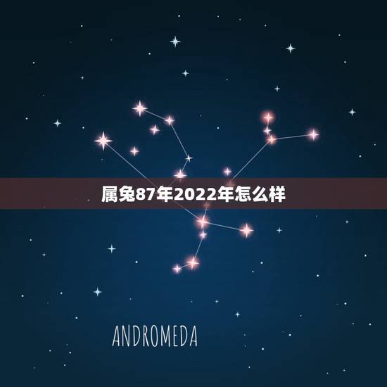 属兔87年2022年怎么样,87年属兔的2022 年运势 属兔87年2022年怎么样,87年属兔的2022 年运势