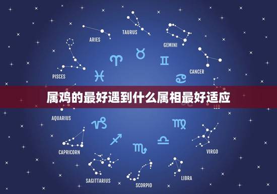 属鸡的最好遇到什么属相最好适应，属鸡于什么生肖配婚好