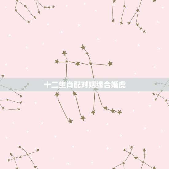 十二生肖配对姻缘合婚虎，十二生肖配对姻缘合婚是真还是假？