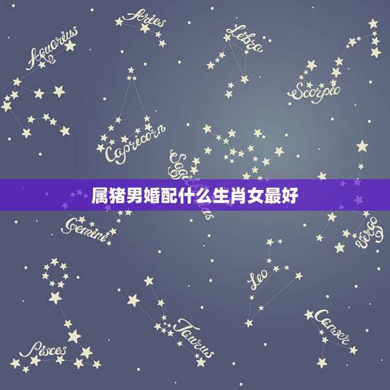 属猪男婚配什么生肖女最好，属猪的白羊座男孩和什么属相女孩最配