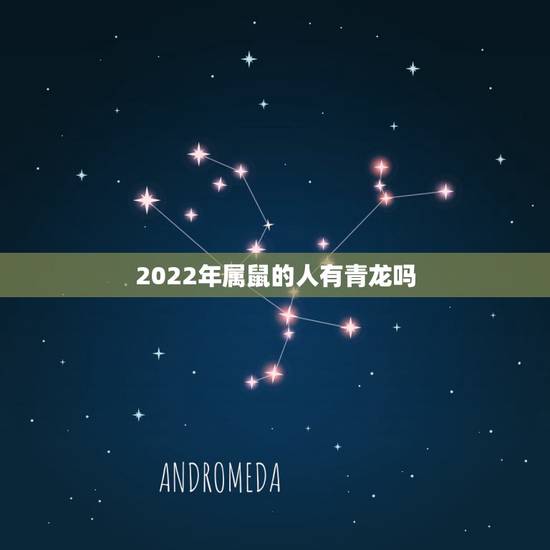 2022年属鼠的人有青龙吗,2022年属虎人的全年运势 2022年属鼠的人有青龙吗,2022年属虎人的全年运势