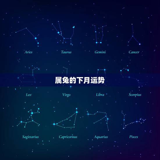 属兔的下月运势，属兔个月出生运势