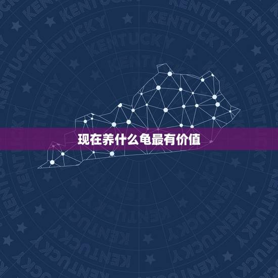 现在养什么龟最有价值,家养乌龟什么品种最珍贵 现在养什么龟最有价值,家养乌龟什么品种最珍贵
