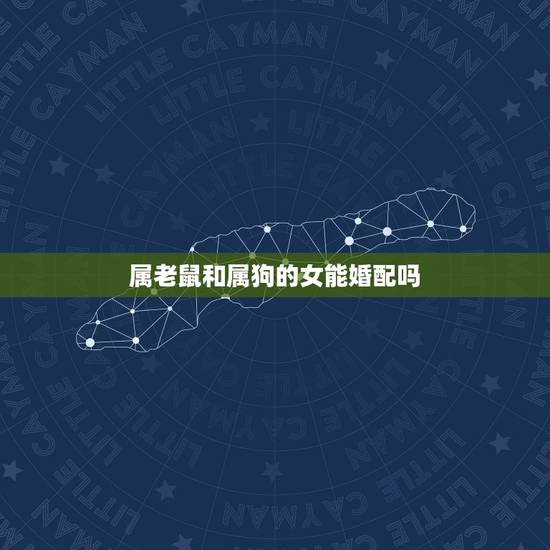 属老鼠和属狗的女能婚配吗，请问属鼠男和属狗女能婚配吗
