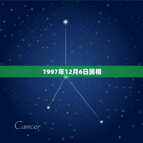 1997年12月6日属相，属牛人阴历1997年12月6日午时出生的命运