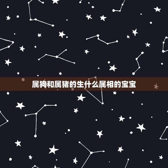 属狗和属猪的生什么属相的宝宝，我属狗老婆属猪，生什么生肖孩子好