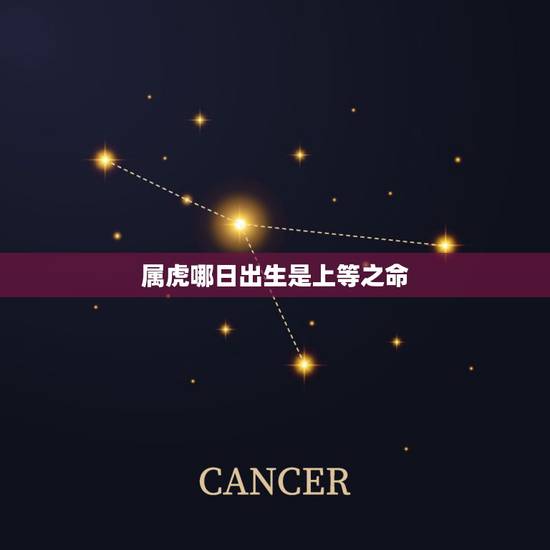 属虎哪日出生是上等之命,属虎人出生日的命运 属虎哪日出生是上等之命,属虎人出生日的命运