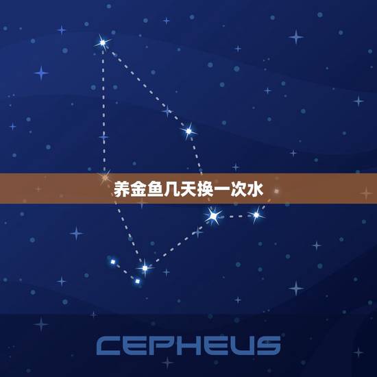 养金鱼几天换一次水,养金鱼几天换一次水好? 养金鱼几天换一次水,养金鱼几天换一次水好?