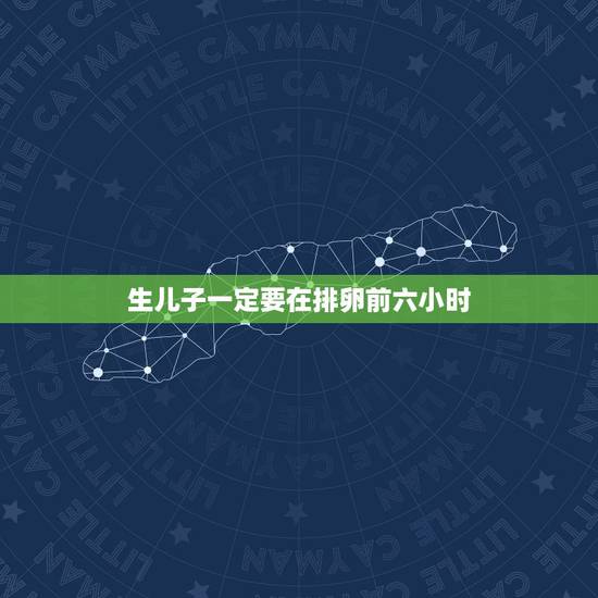 生儿子一定要在排卵前六小时，傻子生孩子作文170↘