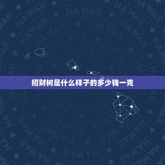 招财树是什么样子的多少钱一克，招财树长什么样