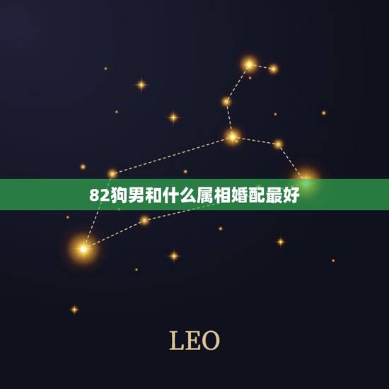 82狗男和什么属相婚配最好，属狗男和什么属相的女性结婚最合适