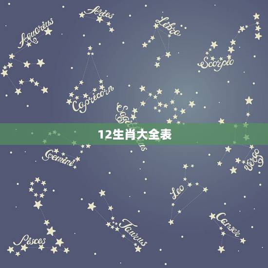 12生肖大全表,生肖卡2022 年 12生肖大全表,生肖卡2022 年