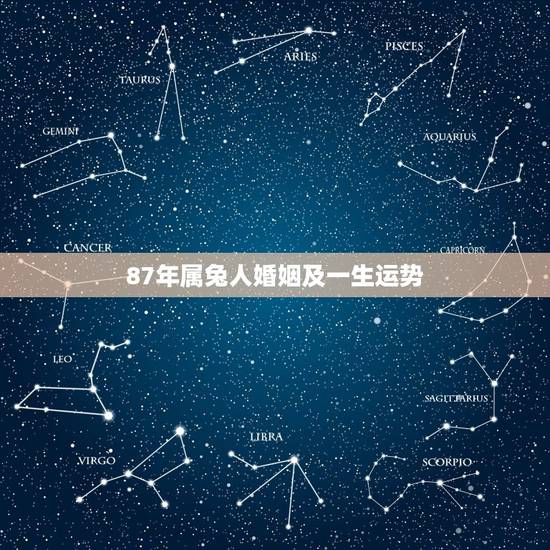 87年属兔人婚姻及一生运势 87年属兔婚姻最终归宿 87年属兔人婚姻及一生运势 87年属兔婚姻最终归宿