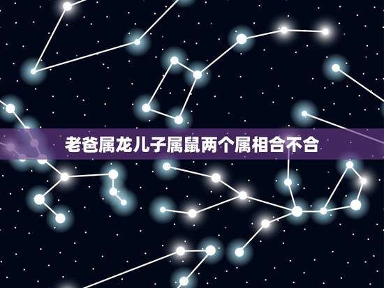 老爸属龙儿子属鼠两个属相合不合，属龙和属鼠相配吗