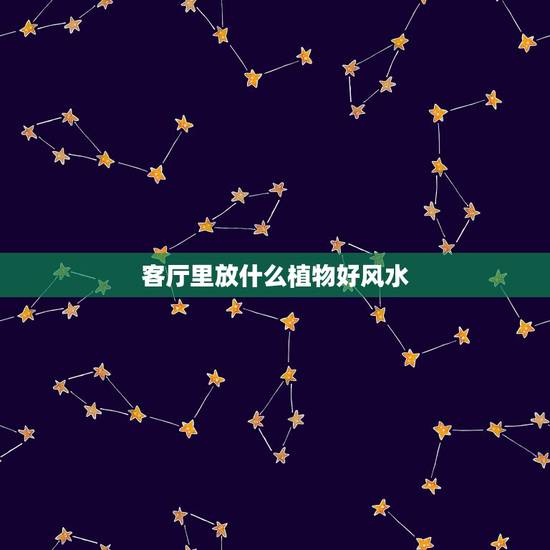 客厅里放什么植物好风水，家里财位放什么植物好
