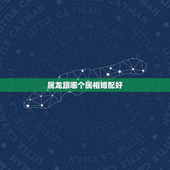 属龙跟哪个属相婚配好，属龙的和什么属相最配