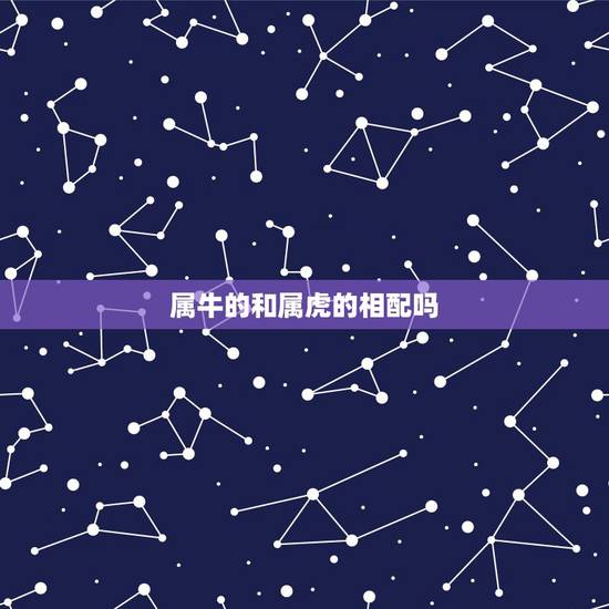 属牛的和属虎的相配吗，1997年属牛姻缘在哪年最旺盛