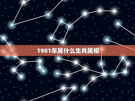 1981年属什么生肖属相，1981年属什么生肖