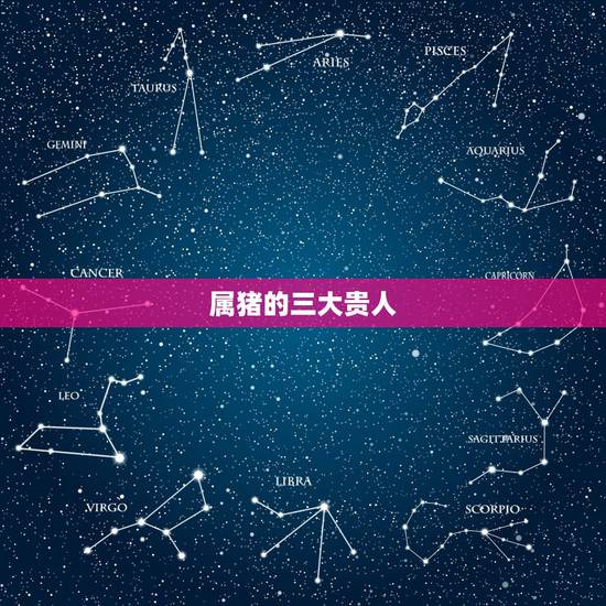 属猪的三大贵人，83年的猪38岁后命好
