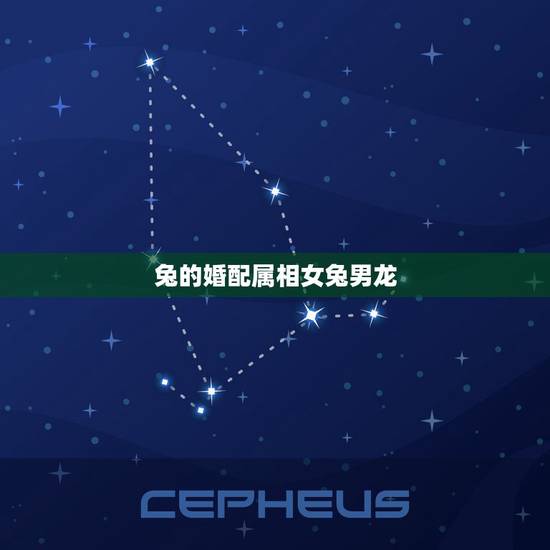 兔的婚配属相女兔男龙,属相婚配:男属龙和女属兔相配吗? 兔的婚配属相女兔男龙,属相婚配:男属龙和女属兔相配吗?
