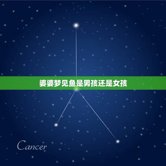 婆婆梦见鱼是男孩还是女孩,老公梦到鱼是怀男孩还是女孩 婆婆梦见鱼是男孩还是女孩,老公梦到鱼是怀男孩还是女孩