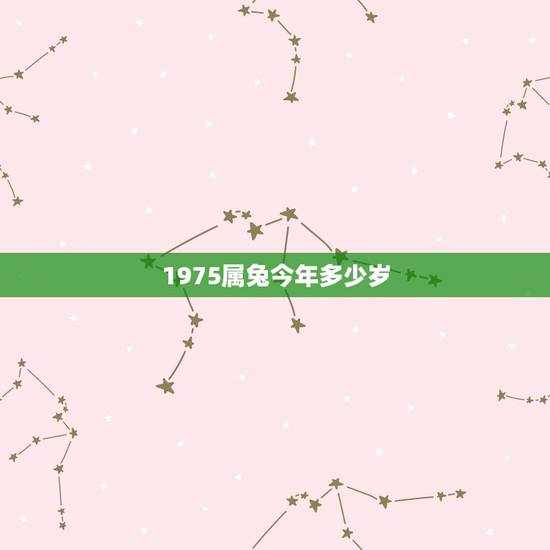 1975属兔今年多少岁,1975属兔今年运势 1975属兔今年多少岁,1975属兔今年运势