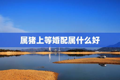 属猪上等婚配属什么好,71年属猪女更佳婚配 属猪上等婚配属什么好,71年属猪女更佳婚配