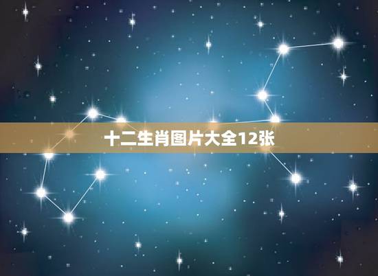 十二生肖图片大全12张,十二生肖守护神的图片 十二生肖图片大全12张,十二生肖守护神的图片