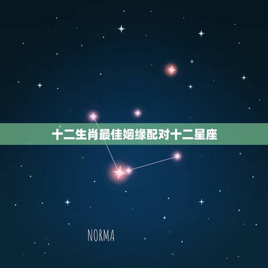 十二生肖最佳姻缘配对十二星座,十二生肖配对姻缘合婚 十二生肖最佳姻缘配对十二星座,十二生肖配对姻缘合婚