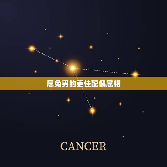 属兔男的更佳配偶属相,男属兔配女属龙的好不好 属兔男的更佳配偶属相,男属兔配女属龙的好不好