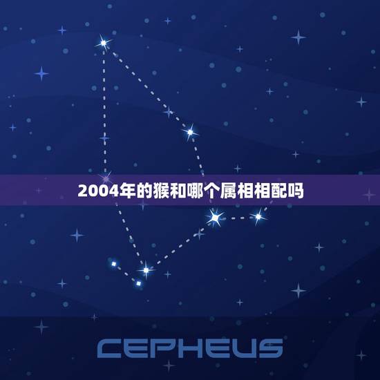 2004年的猴和哪个属相相配吗,猴最相配的生肖? 2004年的猴和哪个属相相配吗,猴最相配的生肖?