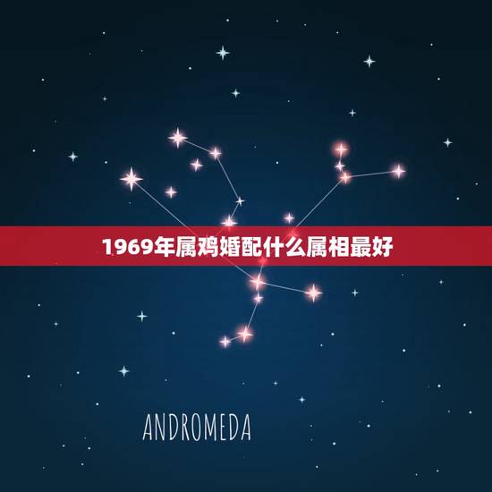 1969年属鸡婚配什么属相最好,1969年属鸡的人和什么生肖最配合 1969年属鸡婚配什么属相最好,1969年属鸡的人和什么生肖最配合