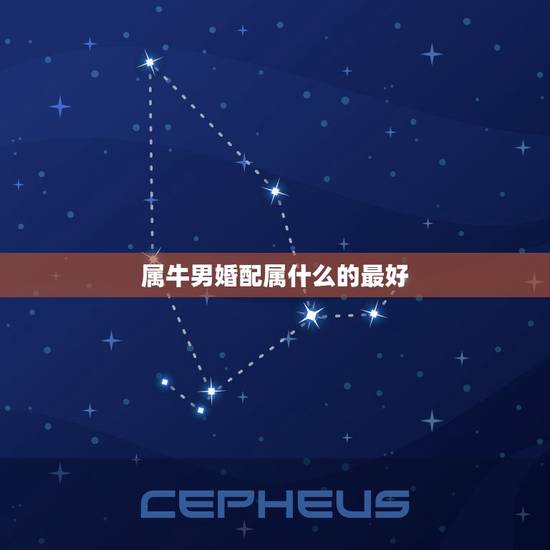 属牛男婚配属什么的最好,属牛的和什么属相最配 属牛的属相婚配表 属牛男婚配属什么的最好,属牛的和什么属相最配 属牛的属相婚配表